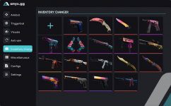 Anyx_Inventorychanger.PNG
